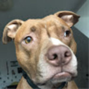 Meet your Posher, Madelyn